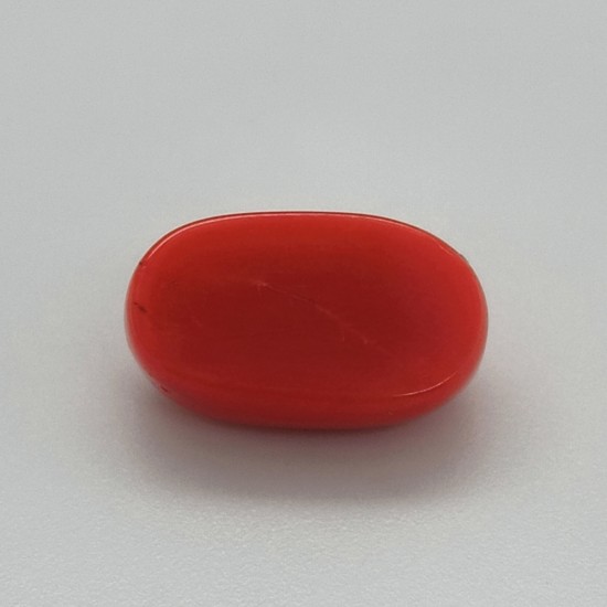 Coral (Moonga) 6.6 Ct Gem Quality Coral (Moonga) 6.6 Ct Gem Quality